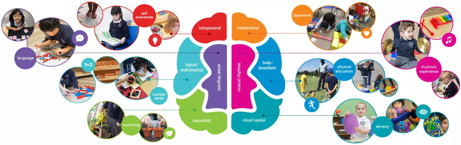 ALT "A colourful diagram of a brain explains the AVMS approach to education and nurturing which combines Montessori materials and Gardner's Theory of Multiple Intelligences."