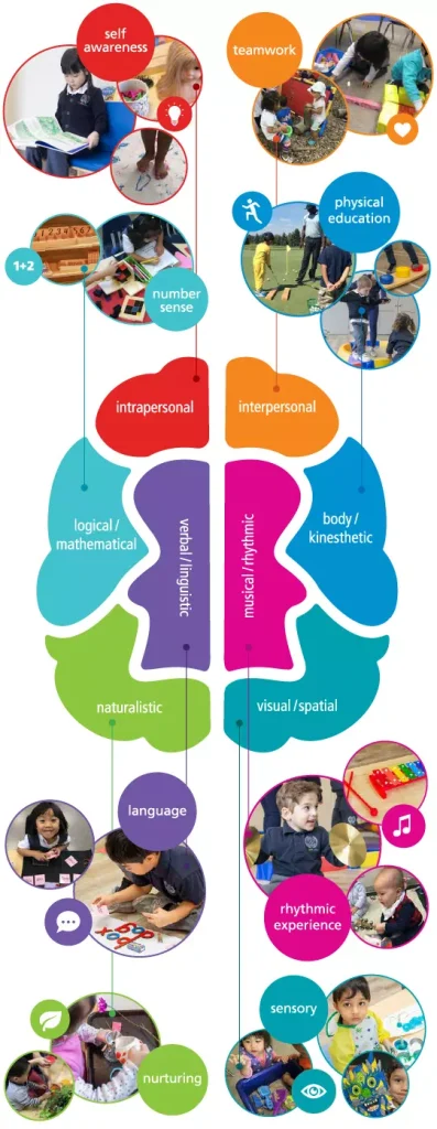 ALT "A colourful diagram of a brain explains the AVMS approach to education and nurturing which combines Montessori materials and Gardner's Theory of Multiple Intelligences."