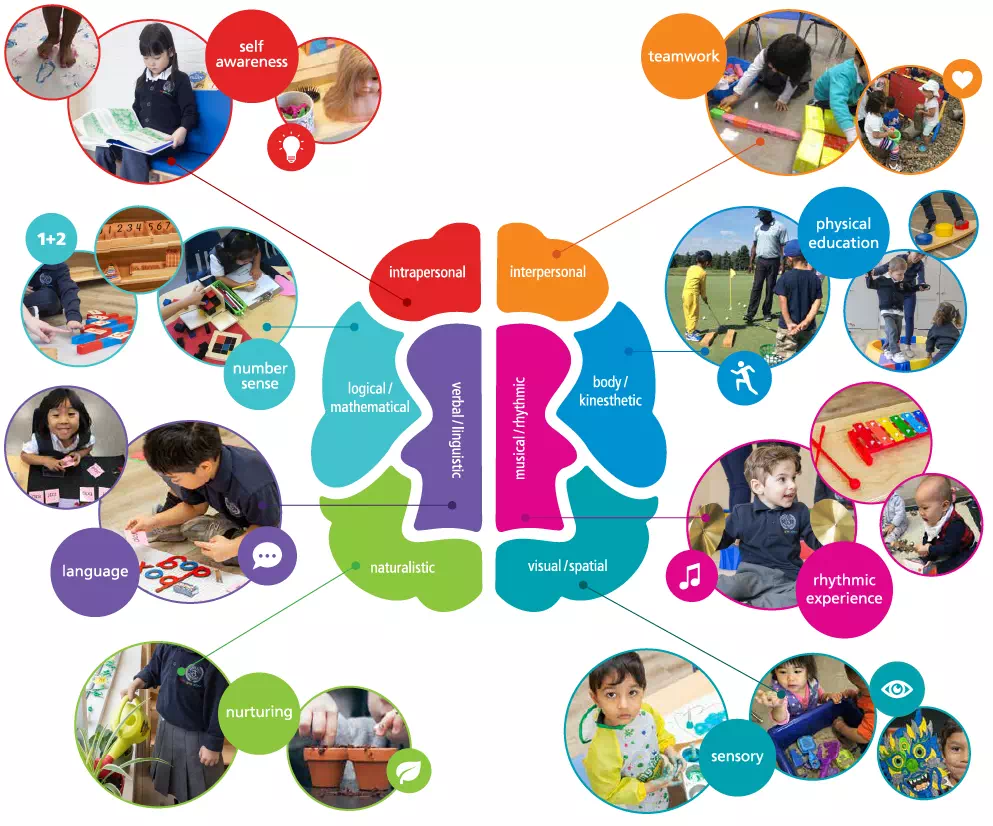 ALT "A colourful diagram of a brain explains the AVMS approach to education and nurturing which combines Montessori materials and Gardner's Theory of Multiple Intelligences."